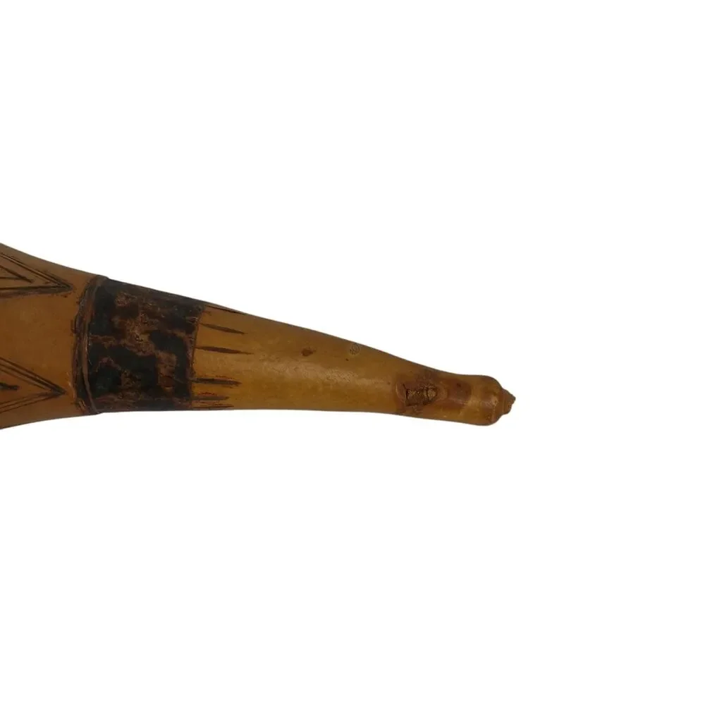 Vtg Hand Crafted South American Gourd Musical Instrument Piranha Porcupine 15